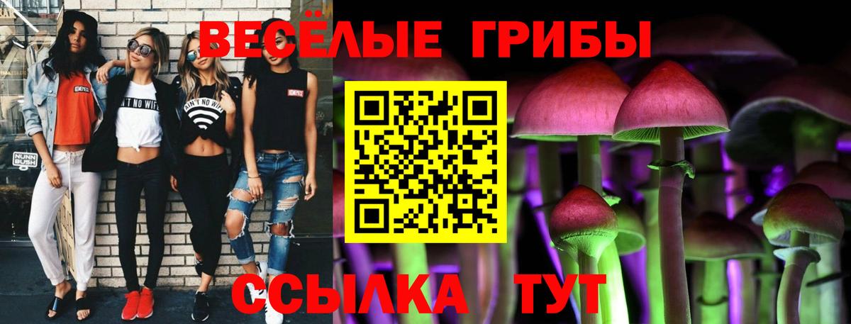 Псилоцибиновые грибы ЛСД Протвино