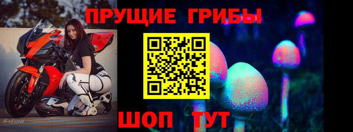 Псилоцибиновые грибы MAGIC MUSHROOMS  Вход с VPN  Протвино 