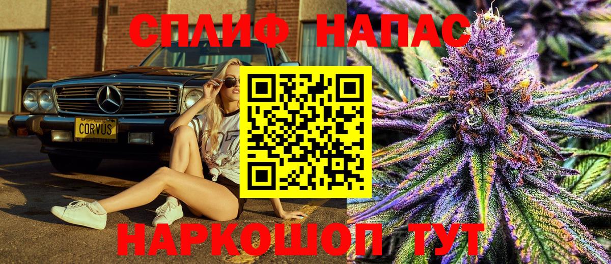 Бошки марихуана план Протвино